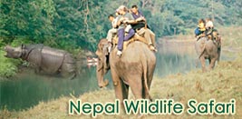 Nepal Wildlife Safari, Nepal Jungle Safari